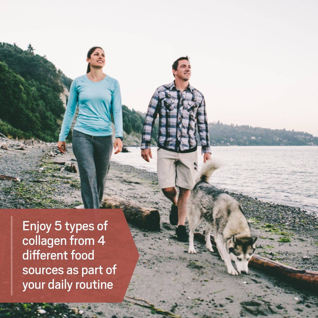 péptidos de colágeno de carne de res, pollo, pescado