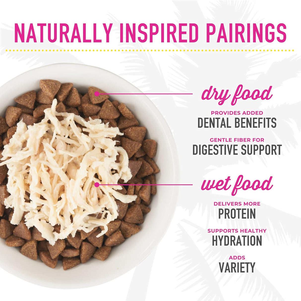 Tiki Cat Born Carnivore Silver, Senior Health, Receta de comida de pollo y arenque, apoyo inmunológico con croquetas horneadas para maximizar los nutrientes, alimento seco para gatos adultos mayores de 11 años, bolsa de 2.8 libras