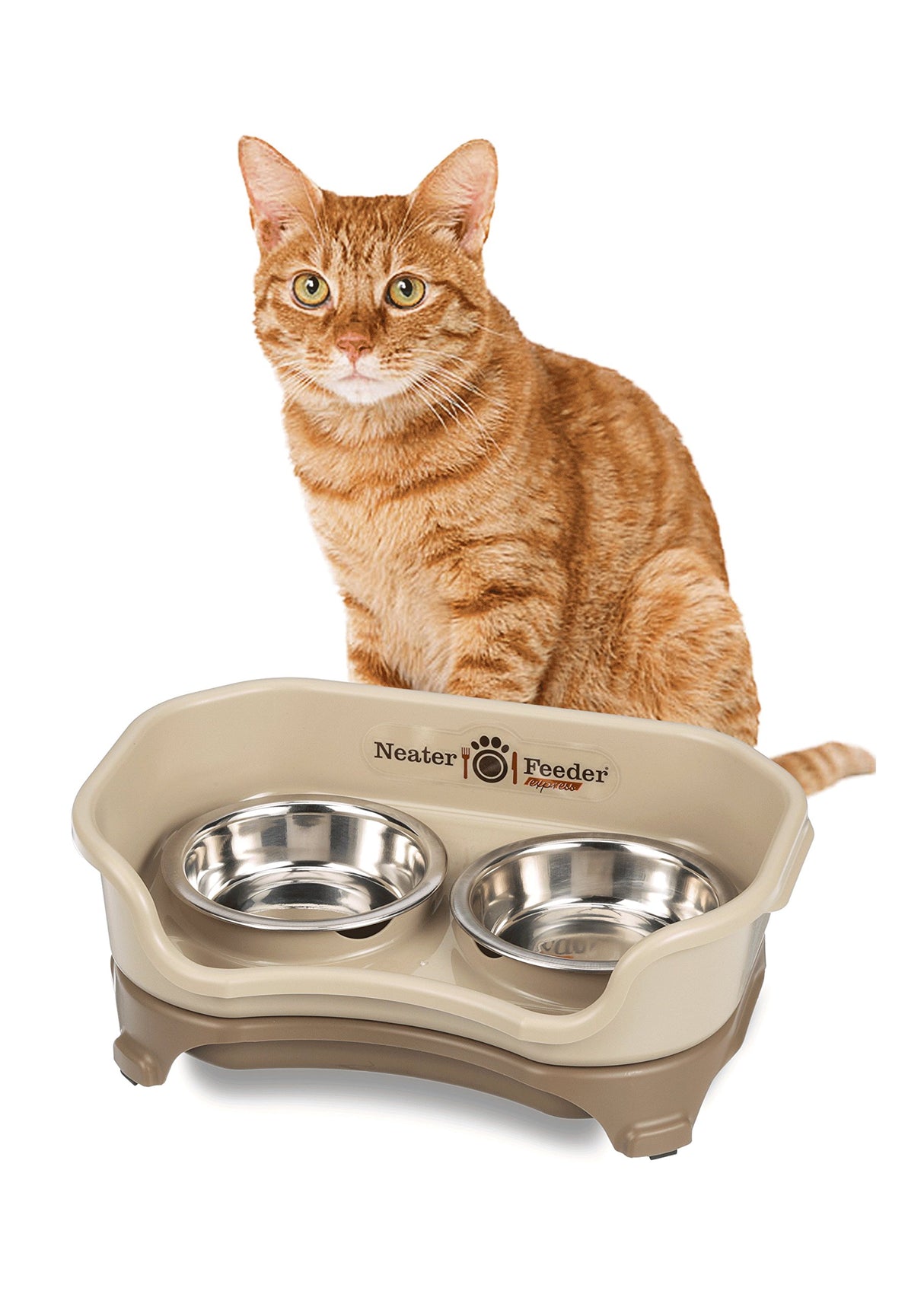 Cuencos elevados para perros y gatos Plato elevado