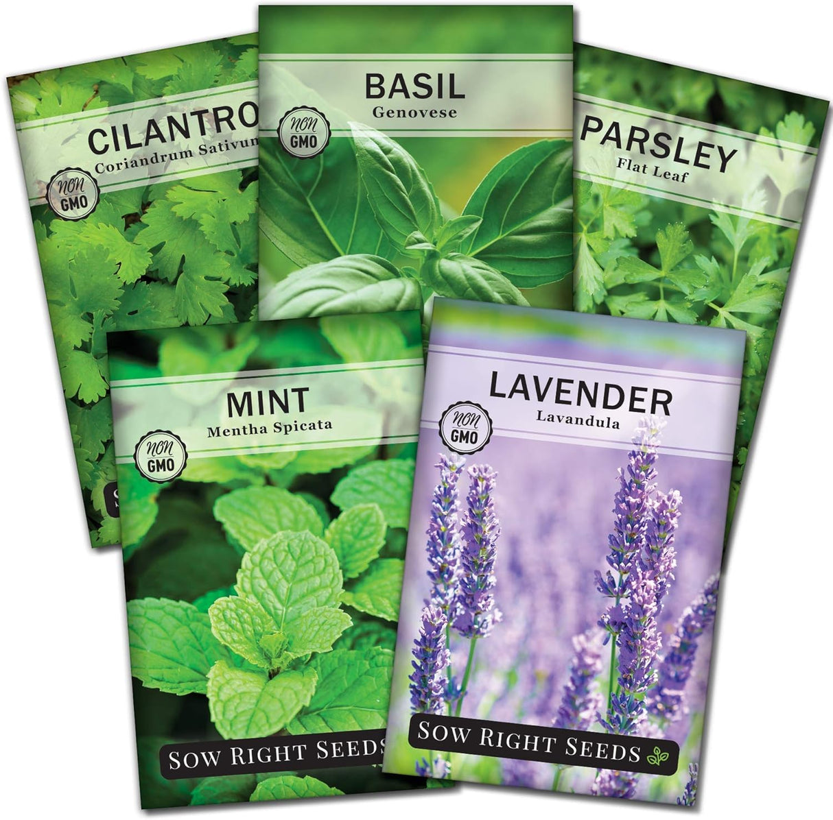 Colección de Semillas de Hierbas - Sow Right Seeds - 5 Paquetes