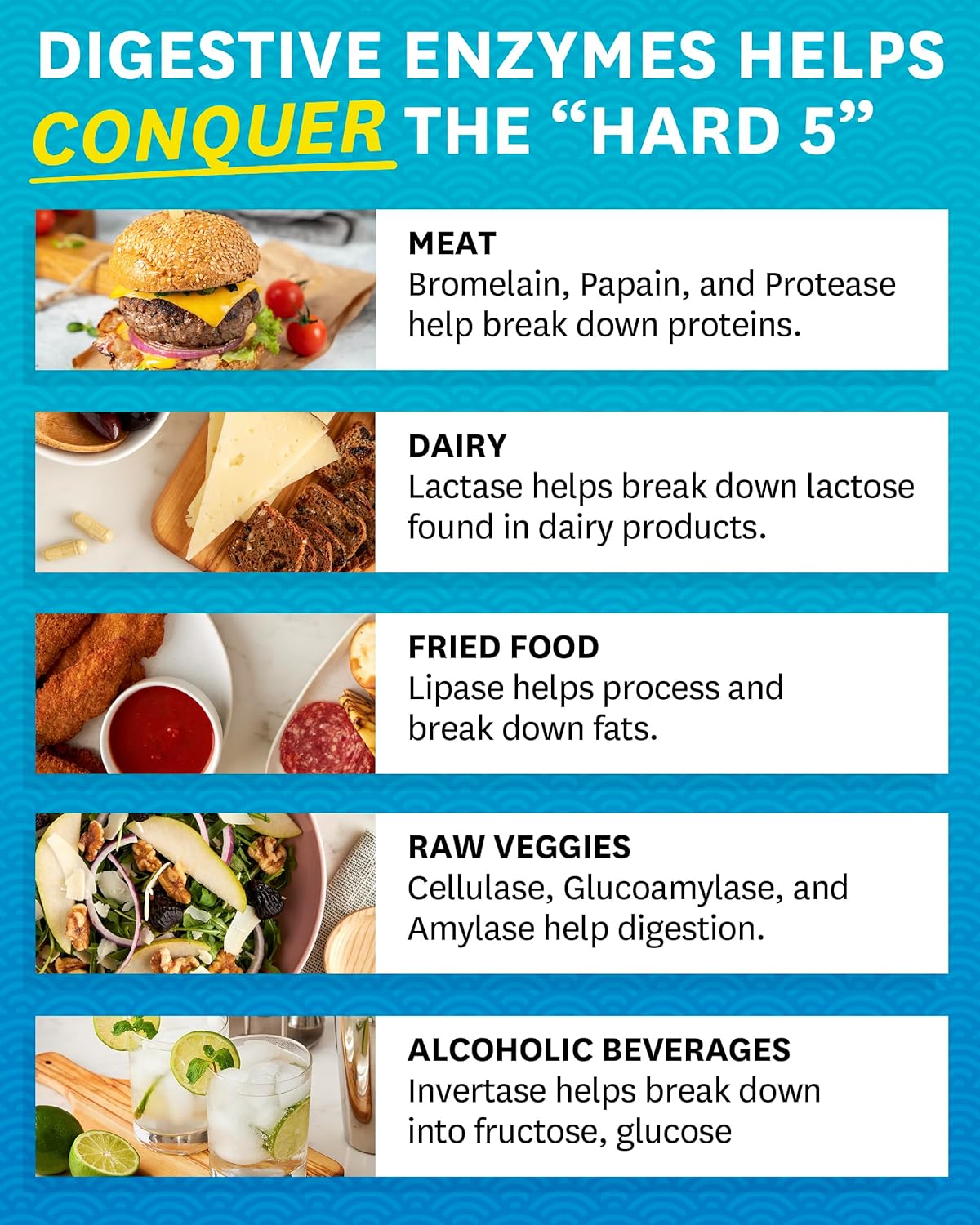 Suplemento Enzimas digestivas probióticos y prebióticos