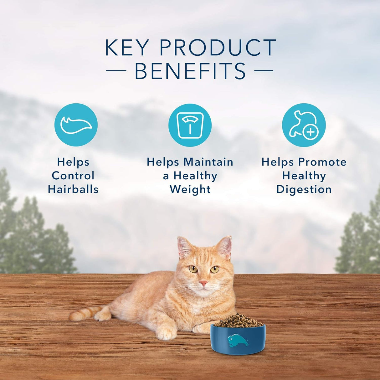 Blue Buffalo Wilderness - Alimento seco para gatos con alto contenido de proteínas, natural para adultos, con control de peso, pollo, 5 libras