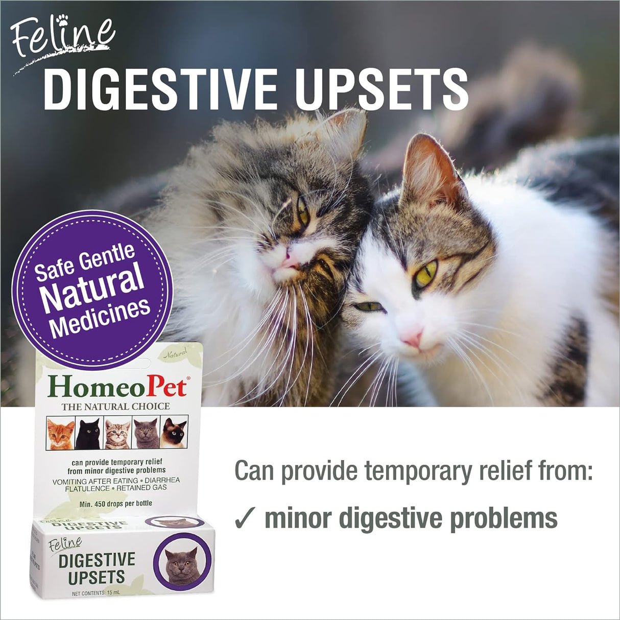 Trastornos digestivos felinos, digestivo natural para gatos