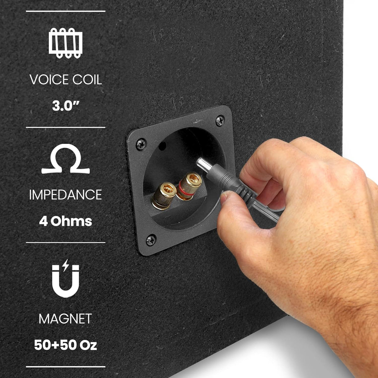 Parlante de Caja de subwoofer PYLE PLSQ12BS