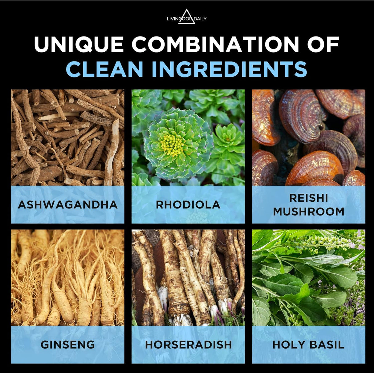 Suplemento Apoyo natural para el cortisol vegano 60 cápsulas