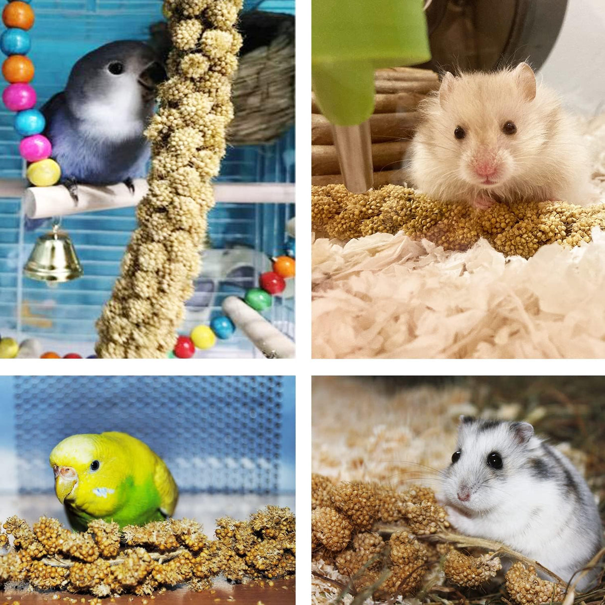 Jmxu's 1 libra de mijo en aerosol para pájaros