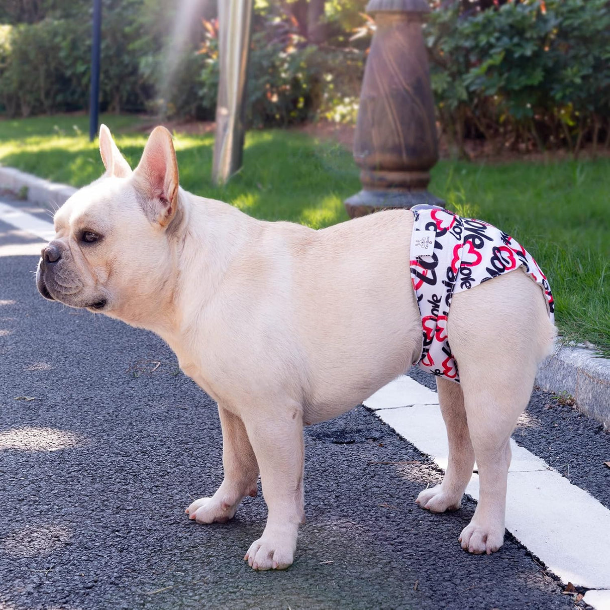 CuteBone Pañales lavables para perras, sin agujero en la cola