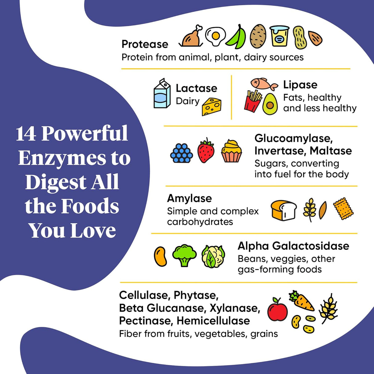 Suplementos Alimenticios Enzimas de máxima potencia