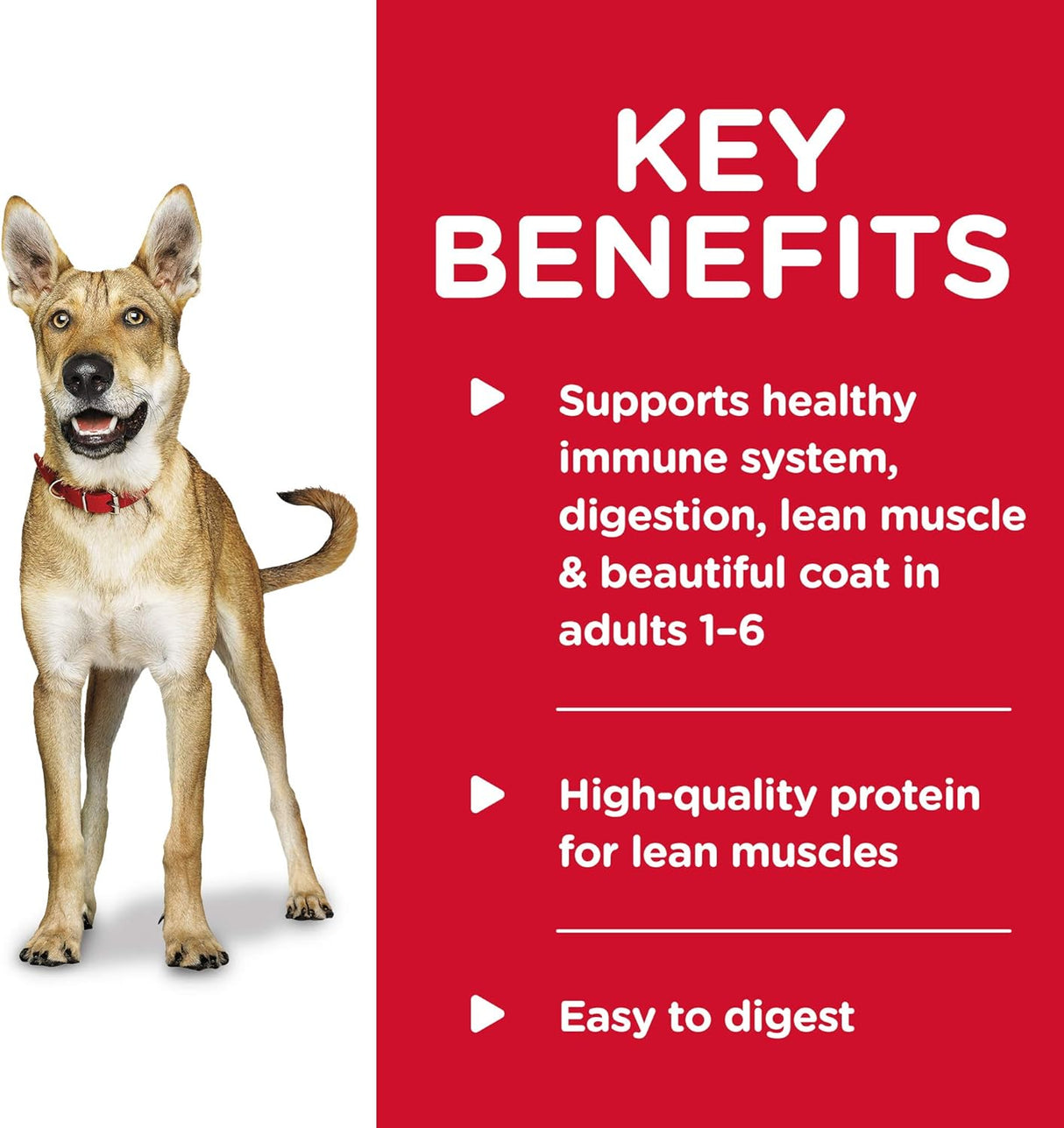 Alimento para Perros adultos húmedo dietético sabor guisado