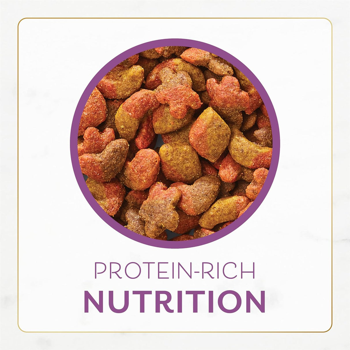 Purina Fancy Feast Alimento seco para gatos 3 libras