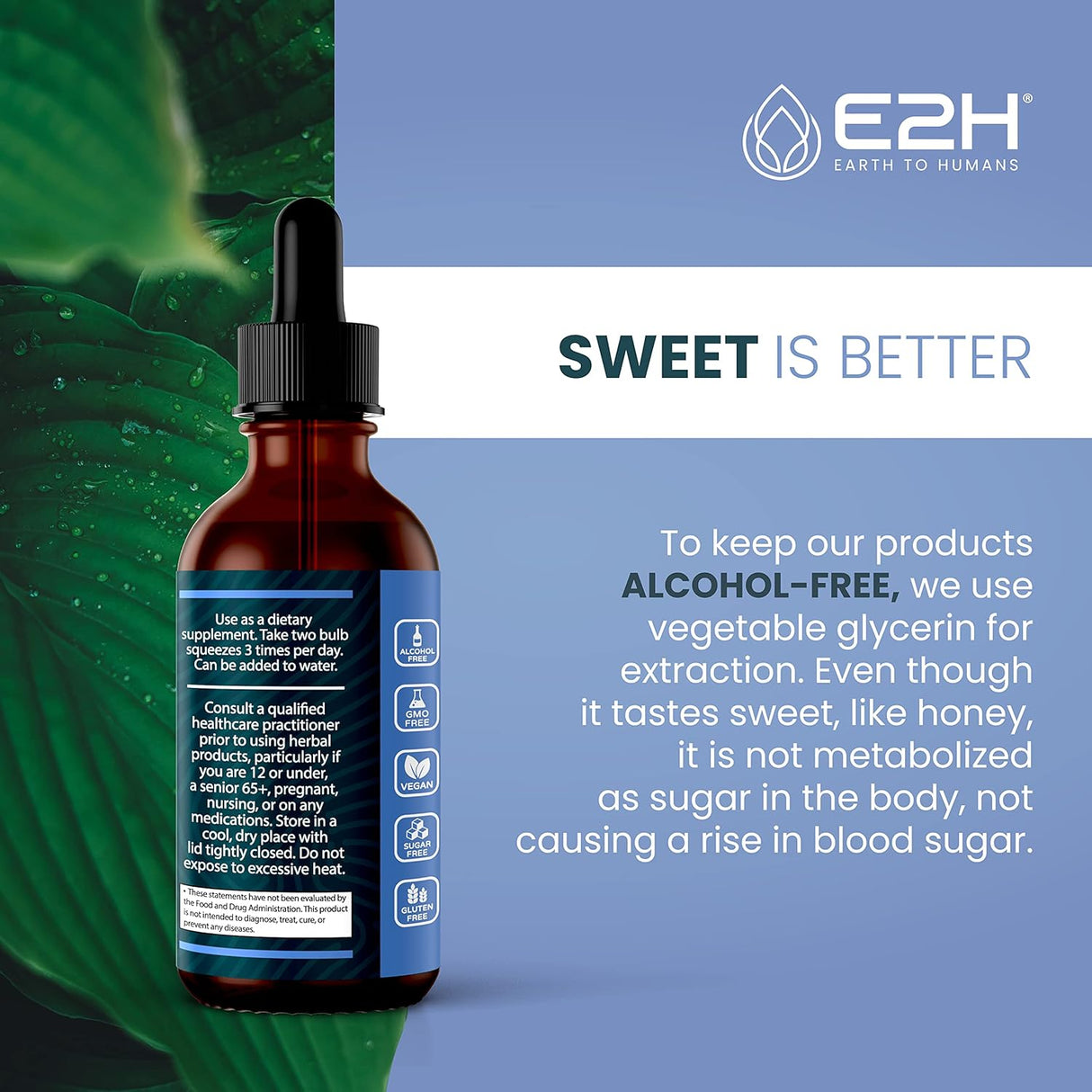 Extracto de Grosella Negra E2H - Inmunidad - 2 Fl Oz