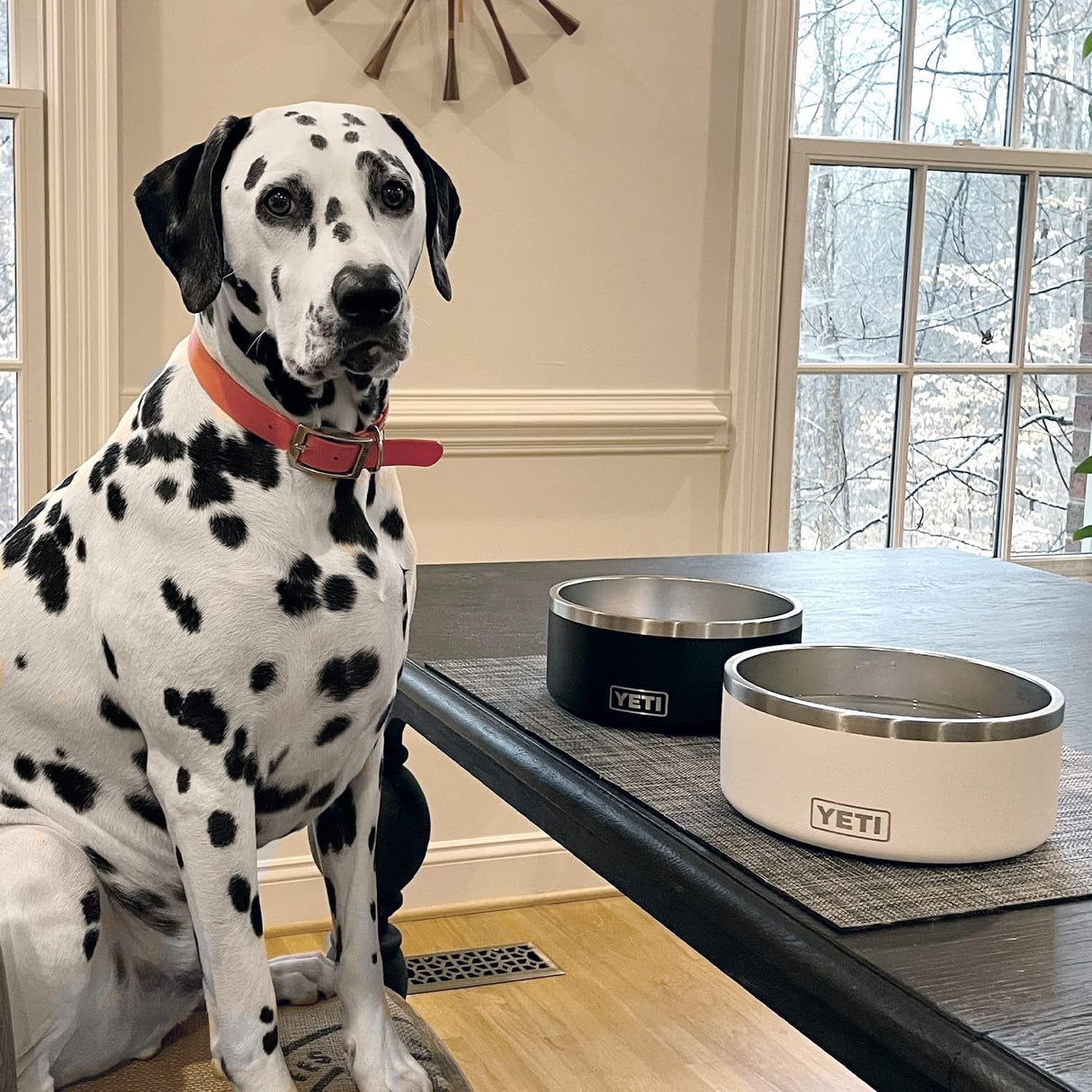 YETI Boomer 8 - Cuenco antideslizante de acero inoxidable para perros, capacidad para 64 onzas, color blanco