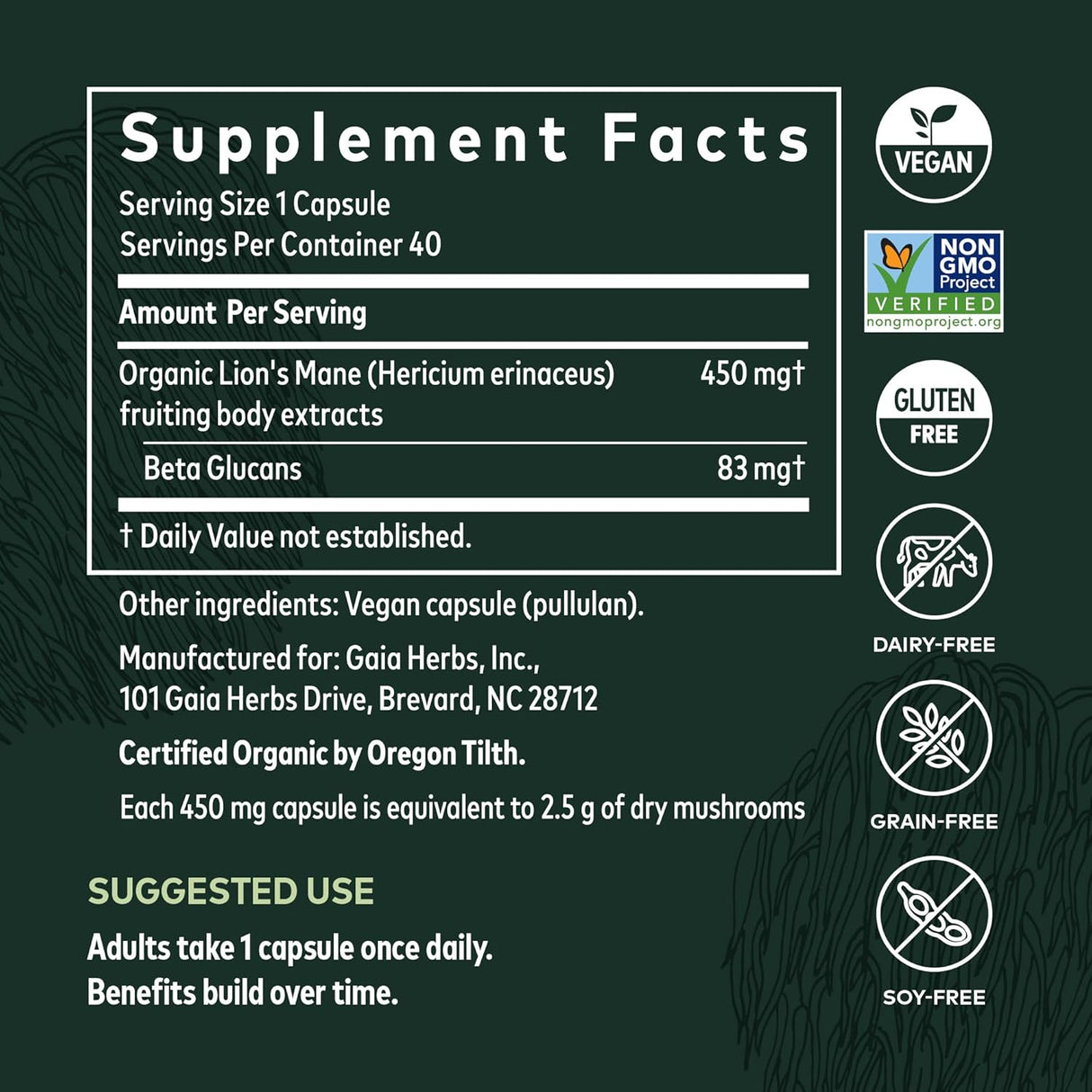Suplementos Alimenticios Suplemento de apoyo cerebral