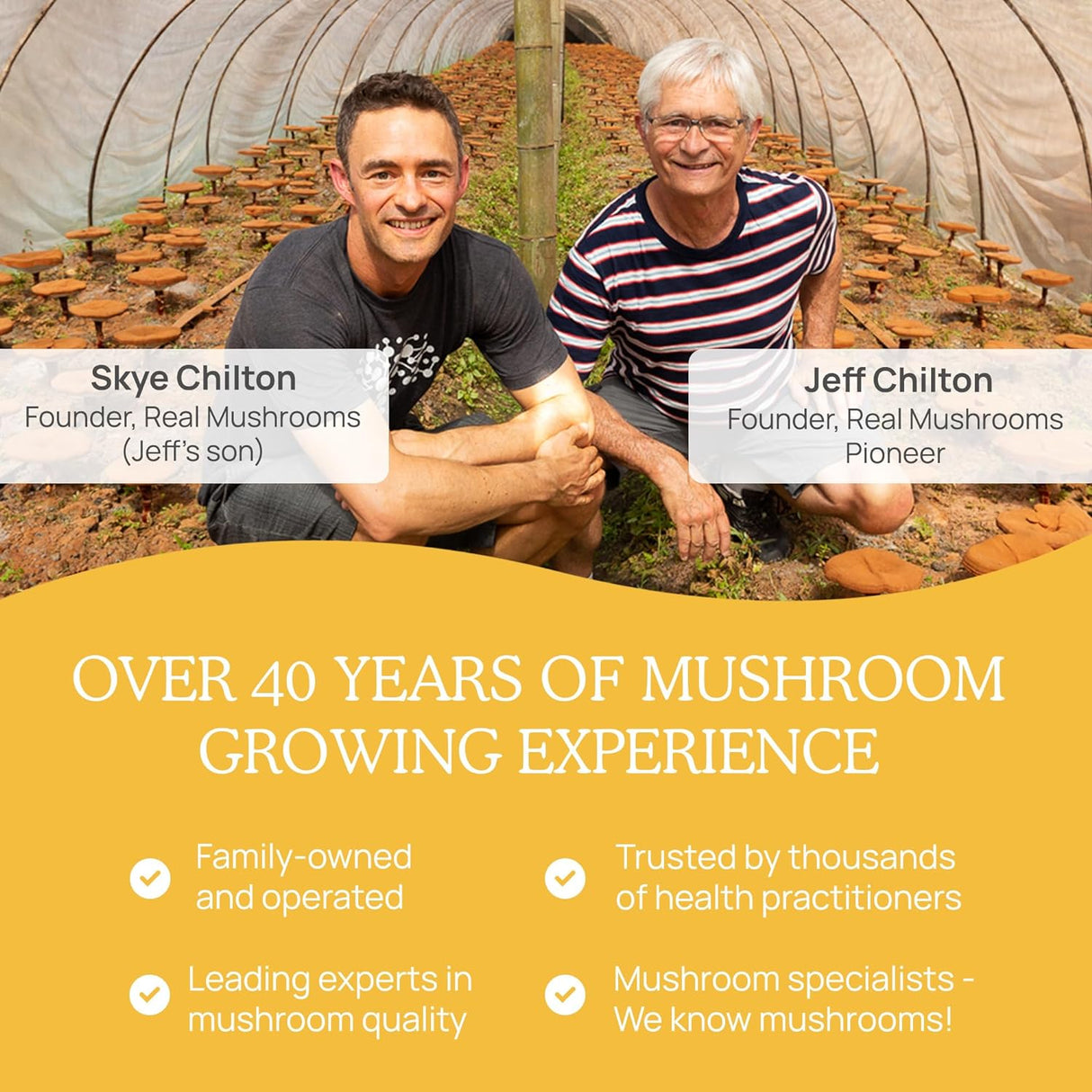 Extracto de Hongos Tremella para Apoyo Inmunológico