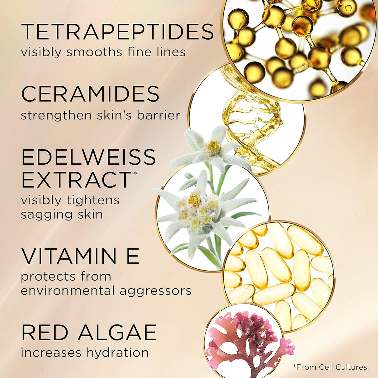 Crema Facial Reafirmante y Antiedad Advanced Ceramide