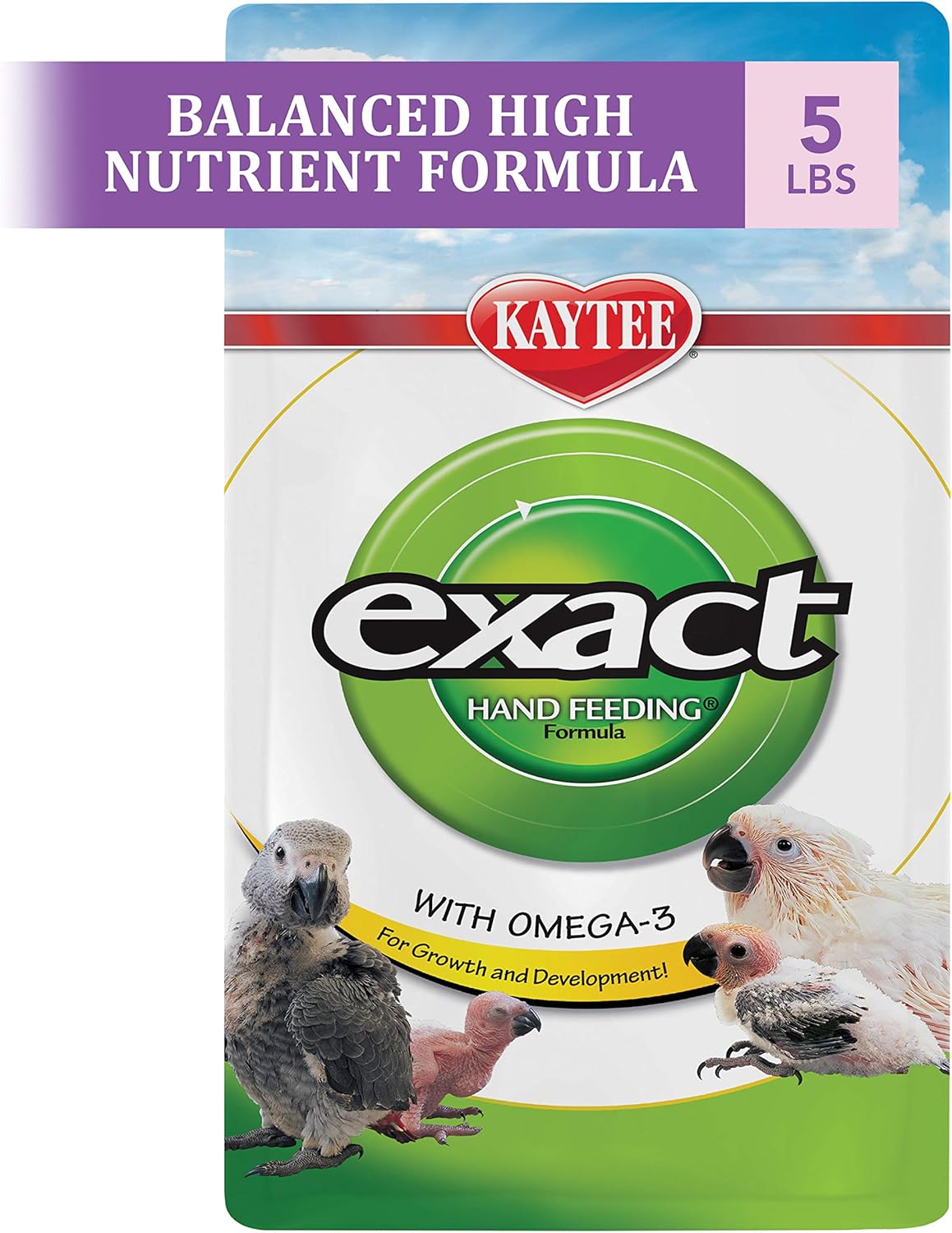 Kaytee Alimentación manual exacta para loros periquitos