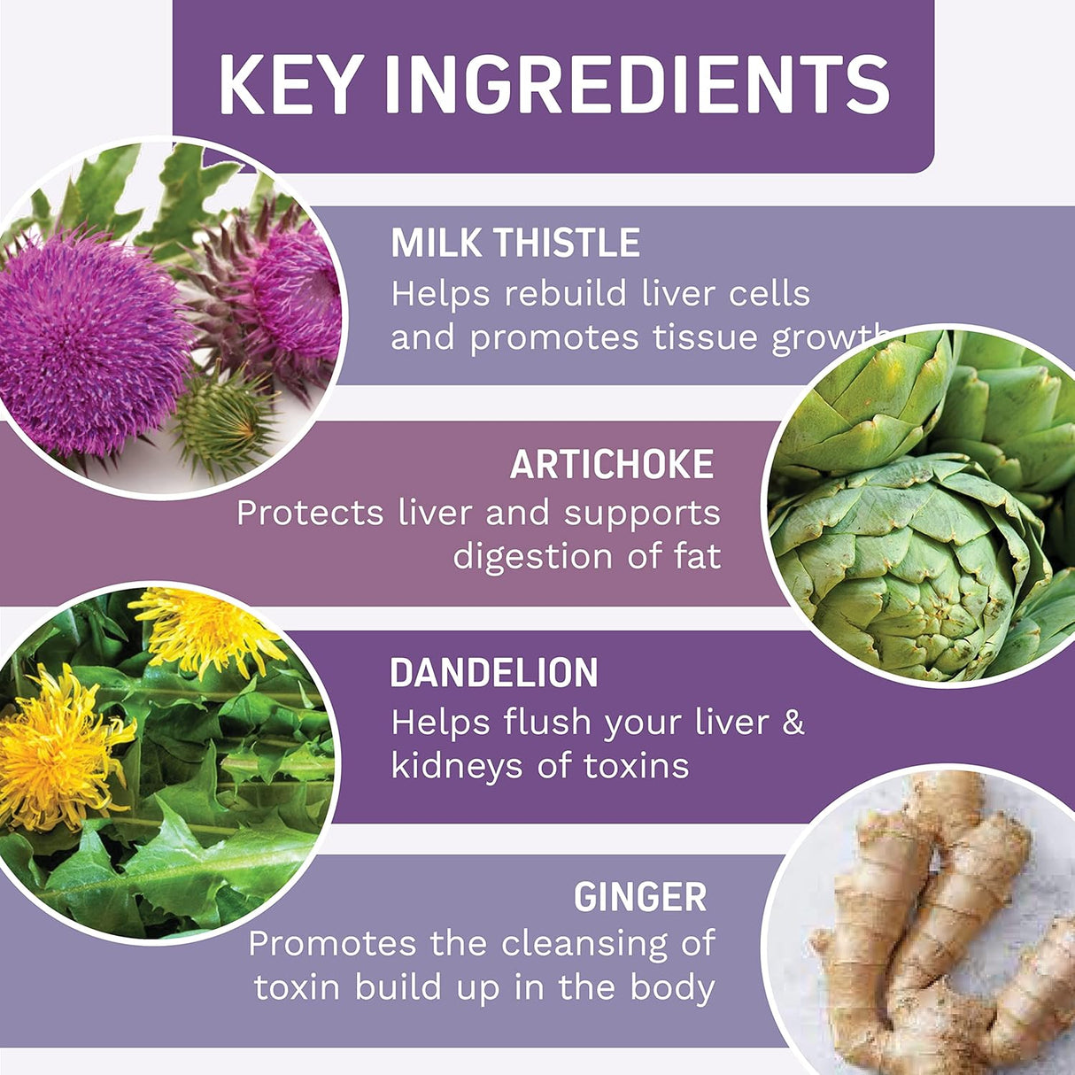 Suplementos Alimenticios de desintoxicación de hígado graso