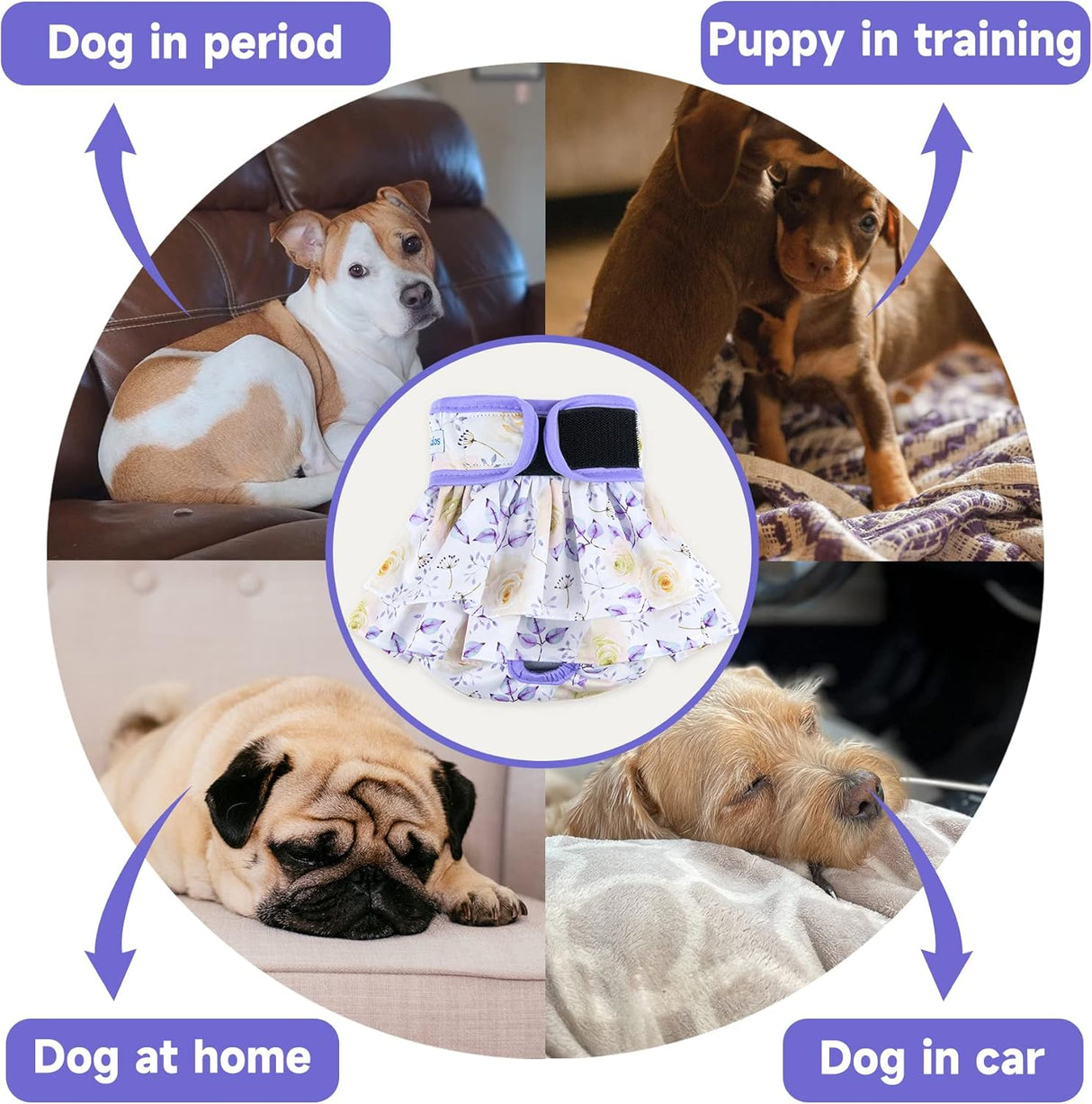 Leekalos Pañales reutilizables para perro fáciles de poner