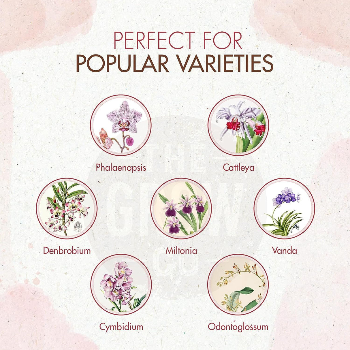 Abono para Orquídeas - Fertilizante de Liberación Lenta