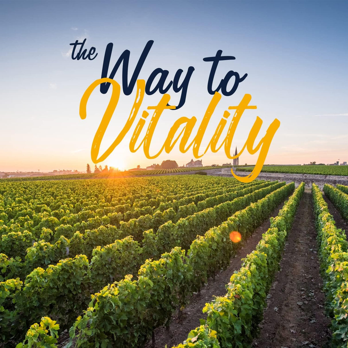 Suplementos Alimenticios hierro carbonilo con vitamina C