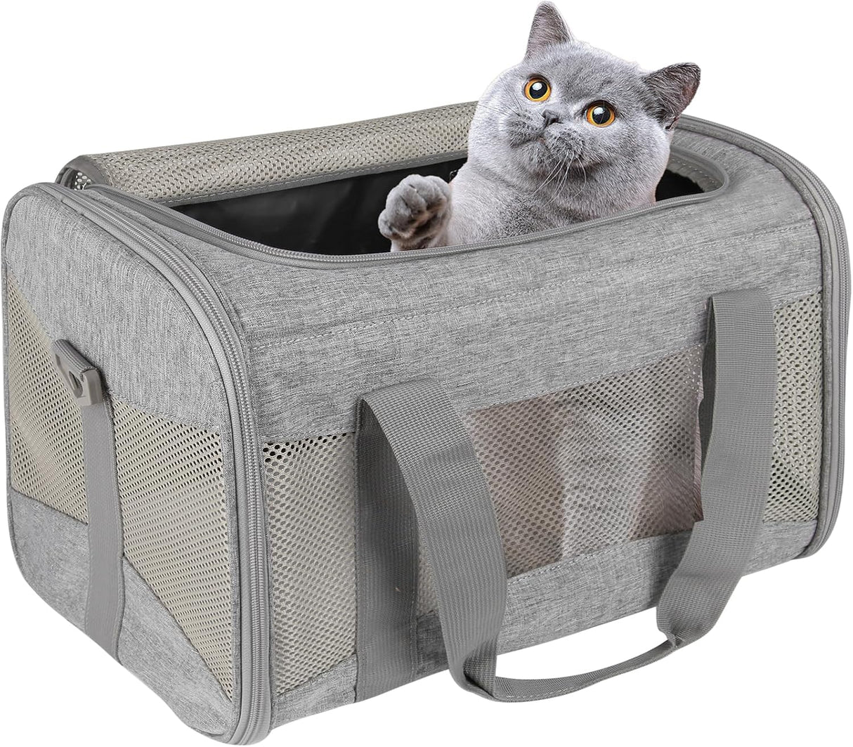 Transportín para Gatos - Aprobado por Aerolíneas, Portable 17*11*11