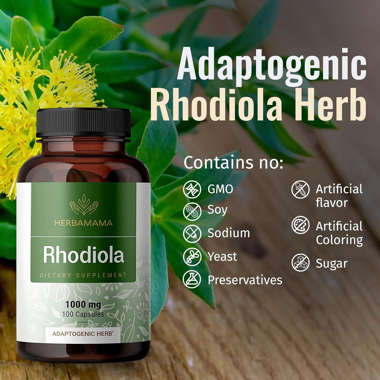 Suplemento Rhodiola Rosea Cápsulas orgánico de hierba 100und