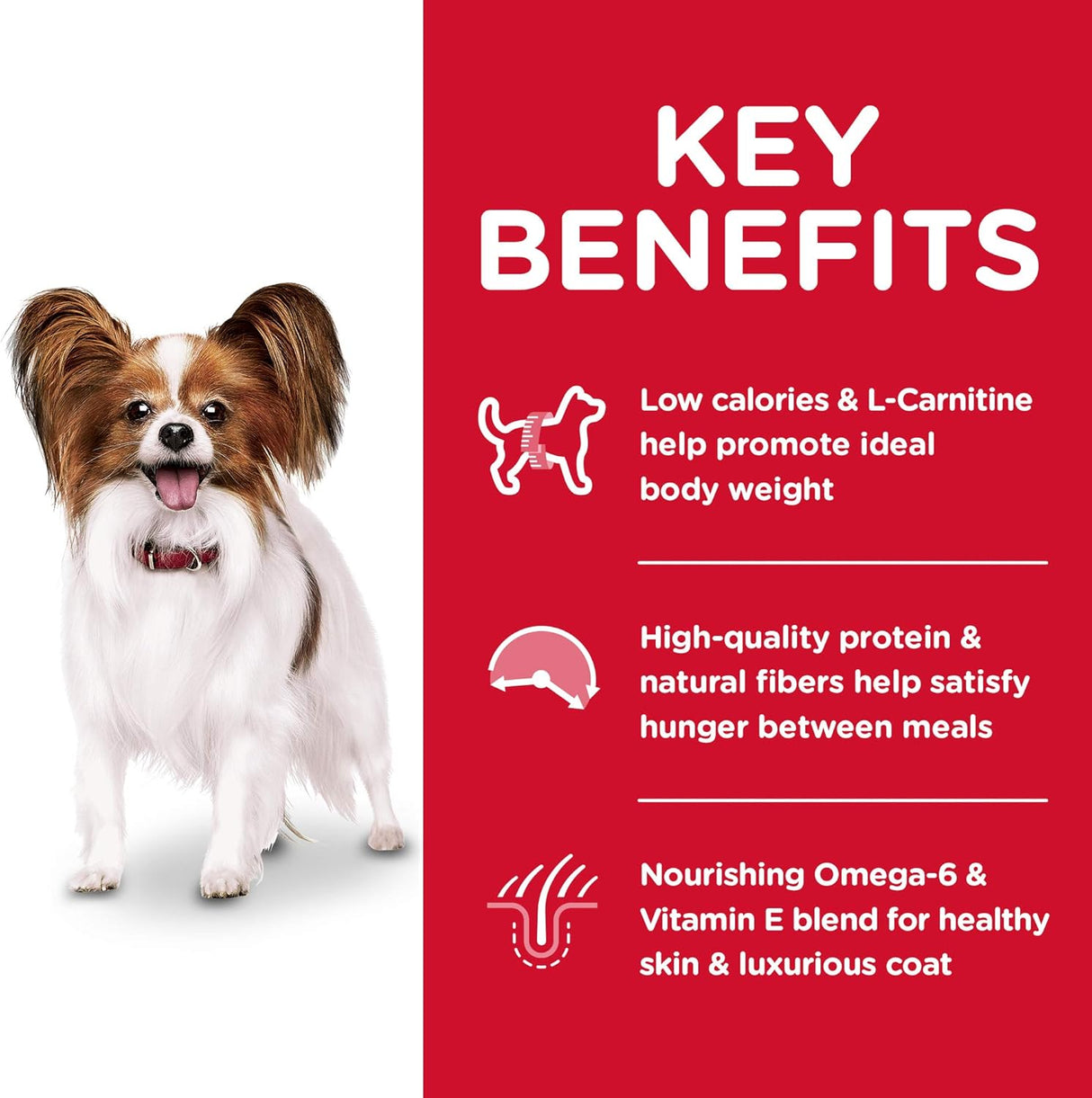 Alimento para Perros secos para perros de raza pequeña mini