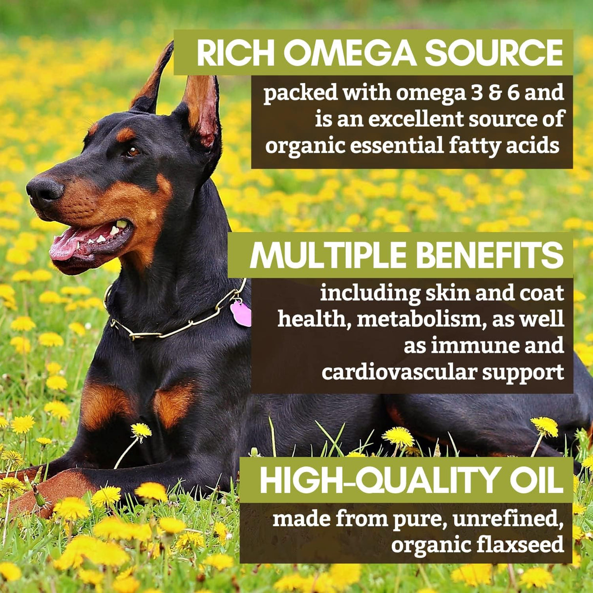 Suplementos orgánico para mascotas