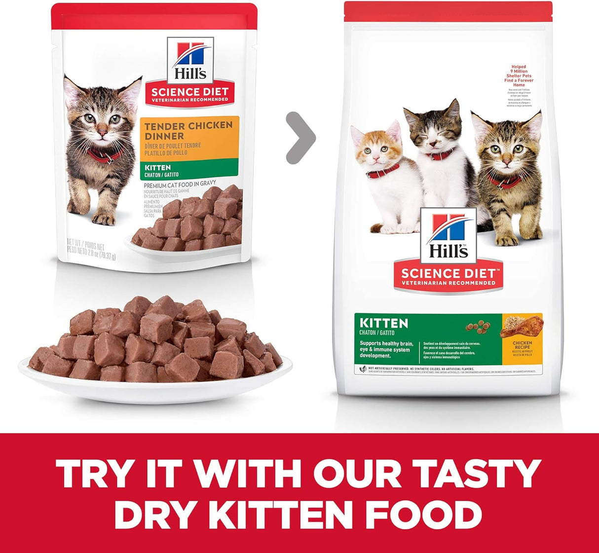 Alimento Comida húmeda para gatos receta de pollo