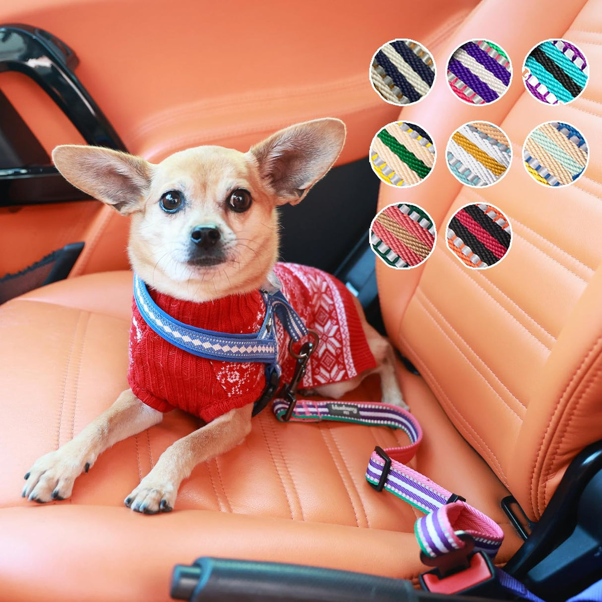 Correa Reflectante Ajustable para Mascotas, Seguridad Duradera