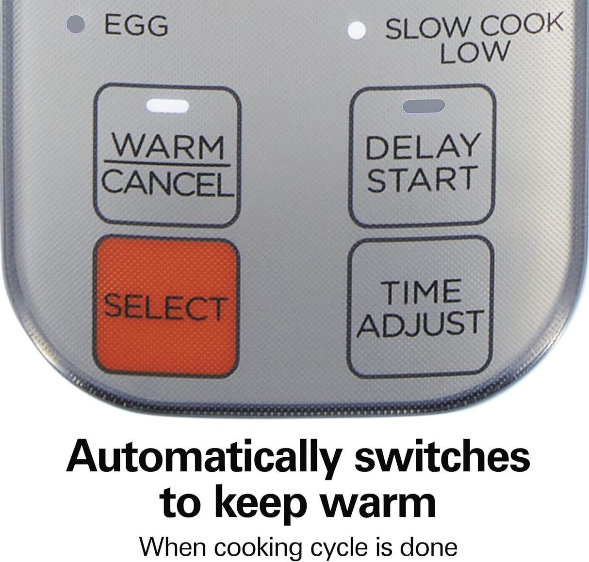 Arrocera Digital Hamilton Beach, 12 Tazas, Modelo 37561