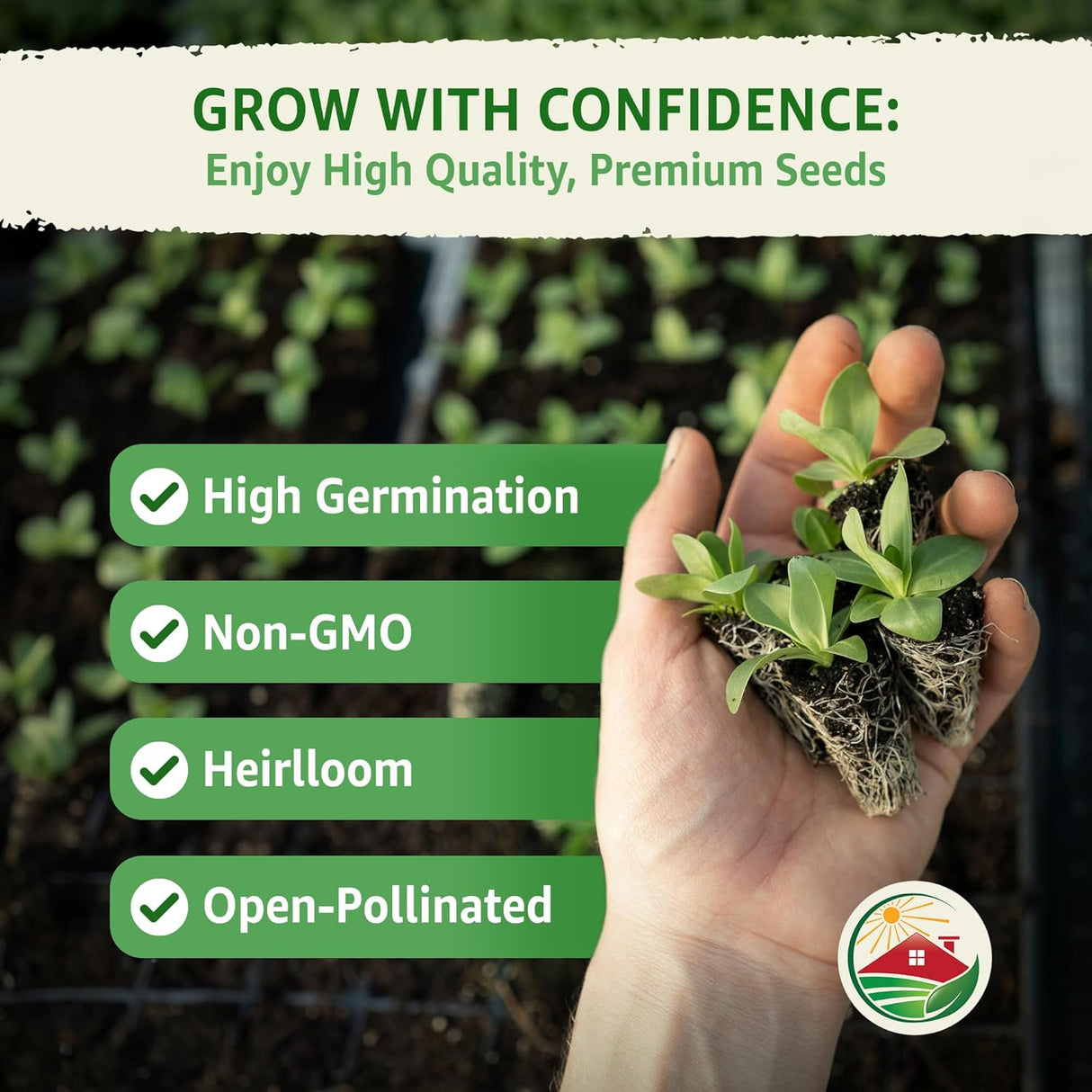 Semillas de Purslane - TKE Farms, 2000+ Semillas No GMO