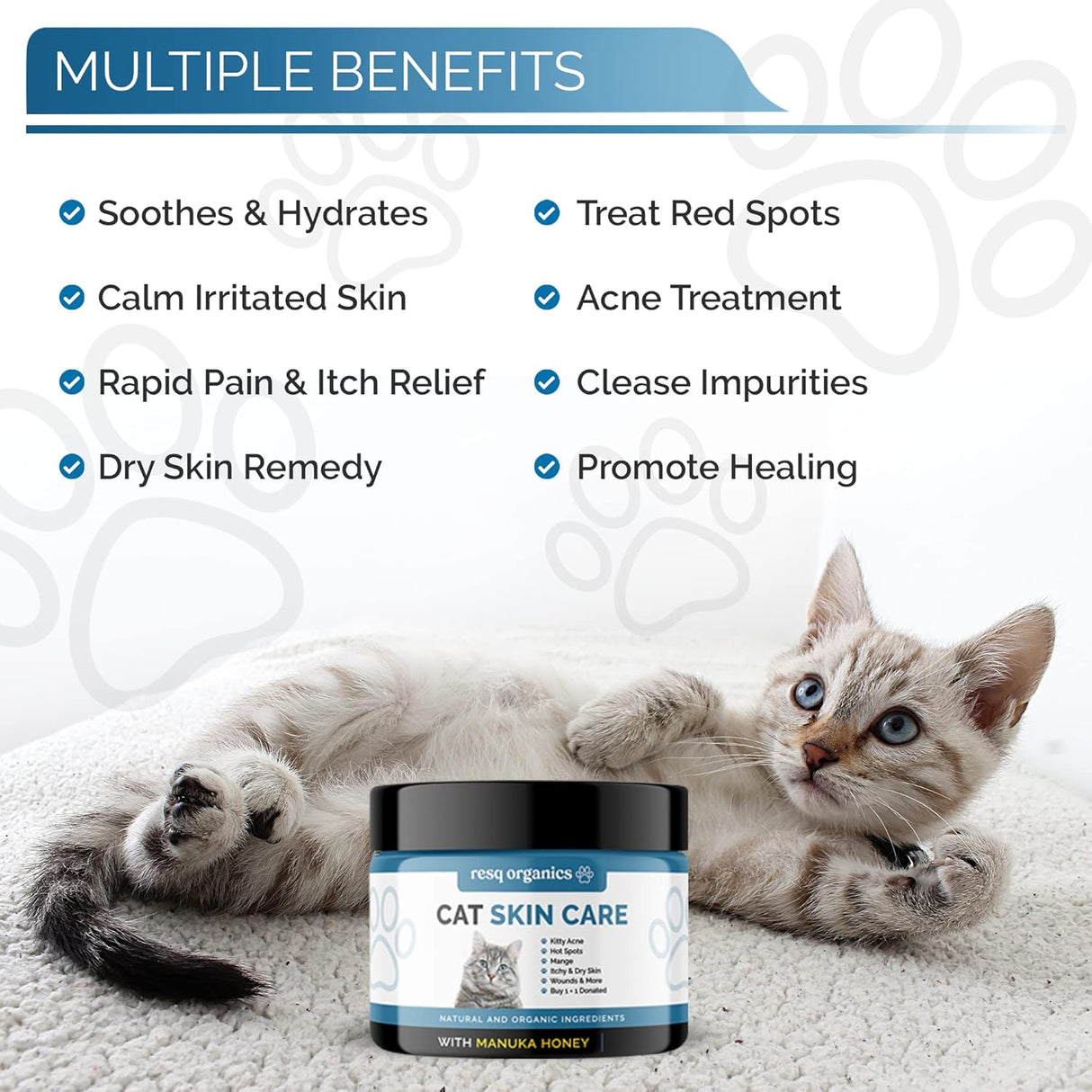 Tratamiento de puntos calientes para dermatitis de gatos