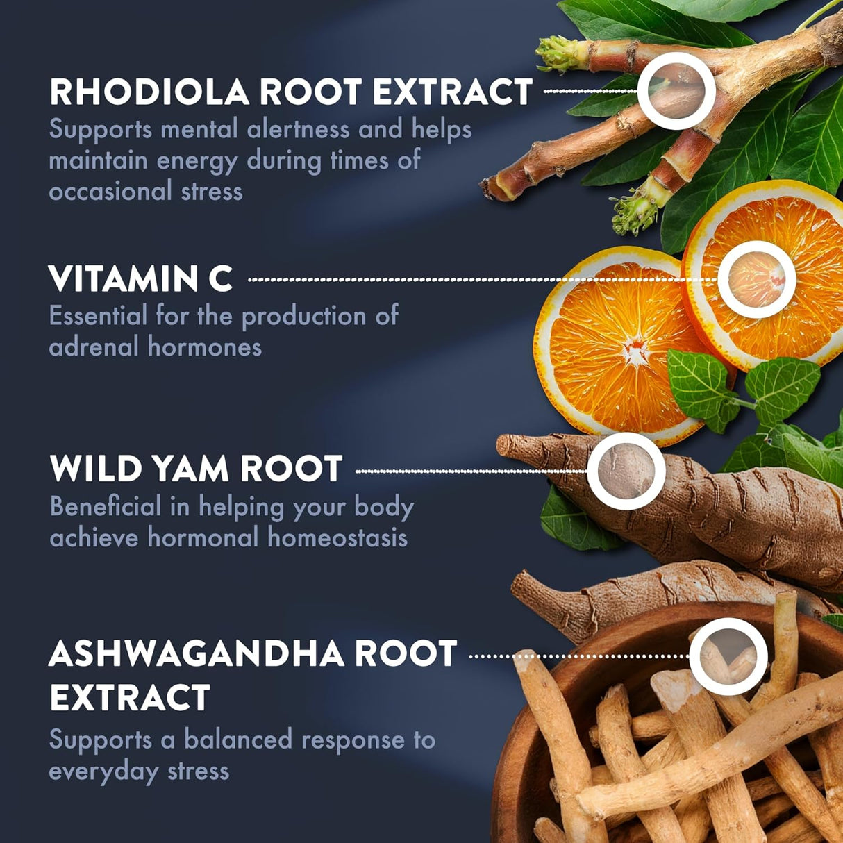 Suplemento Adrenal - Mt. Angel - Ashwagandha - 60 Cápsulas