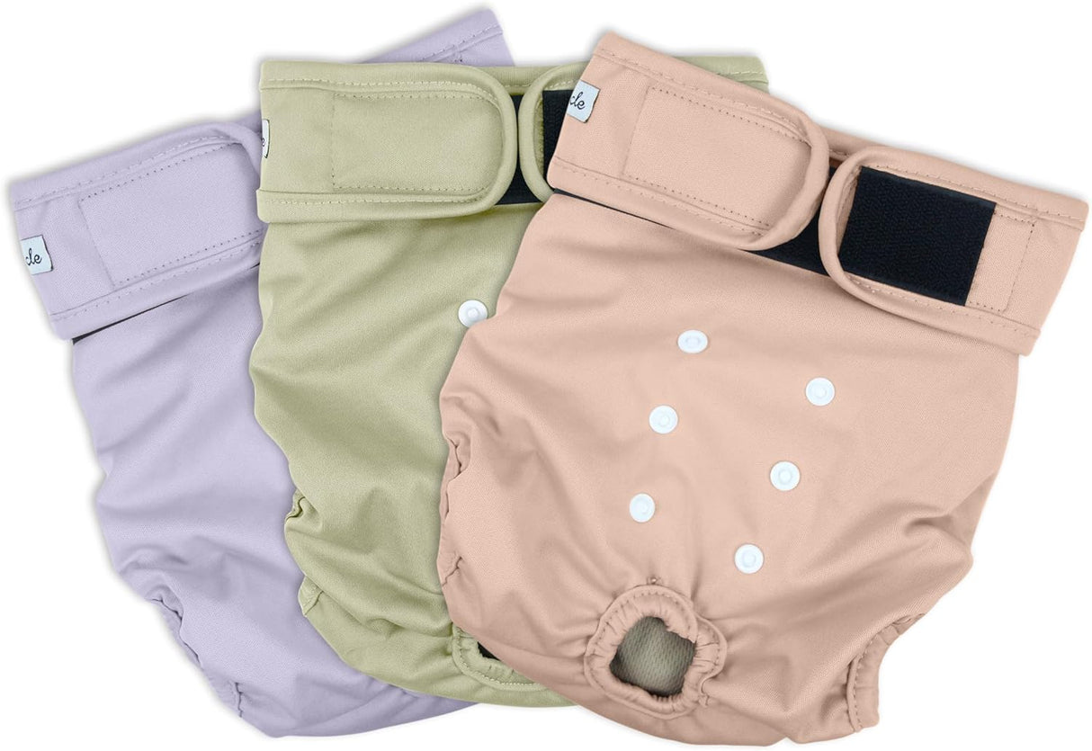 Grecle Pañales lavables para perras – Pañales para perras altamente absorbentes