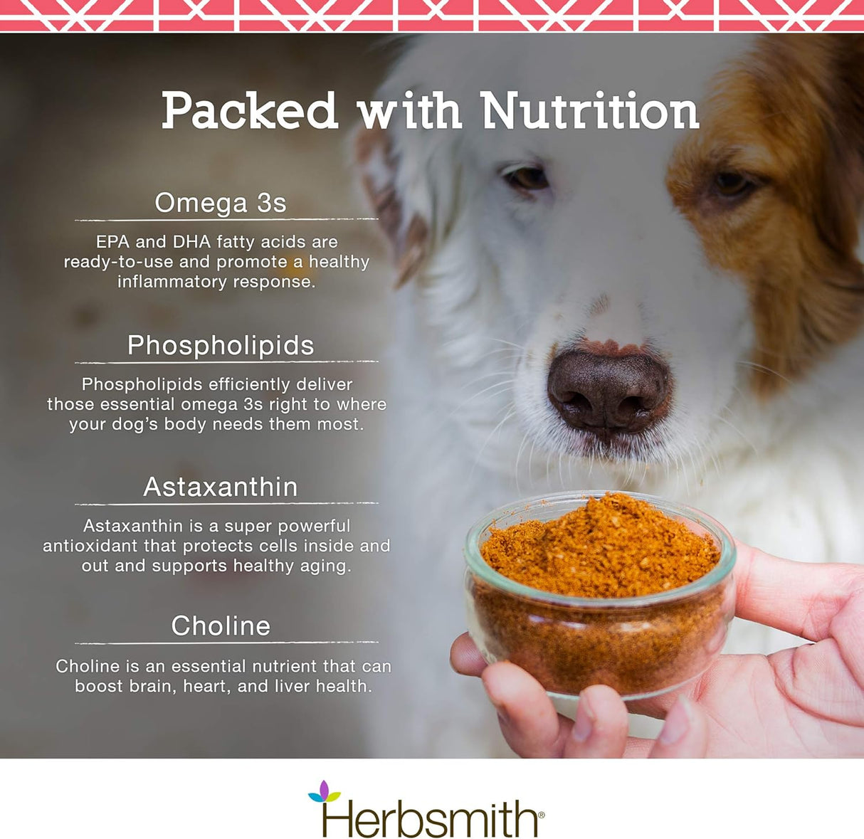 Suplementos Krill antártico Omega 3 para usar animales