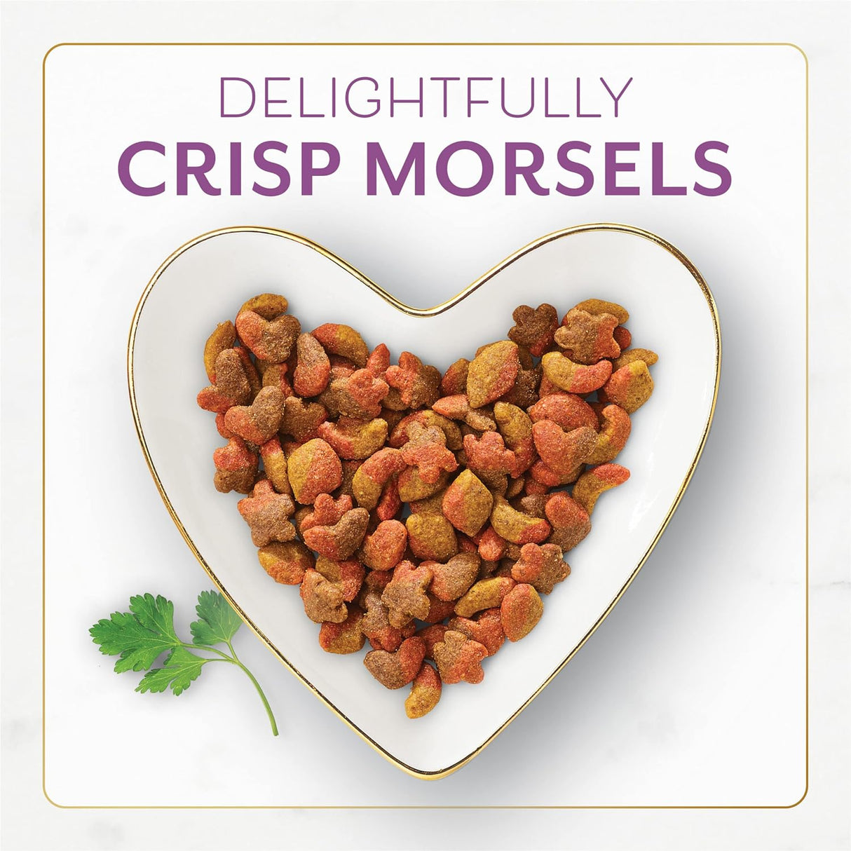 Purina Fancy Feast Alimento seco para gatos 3 libras