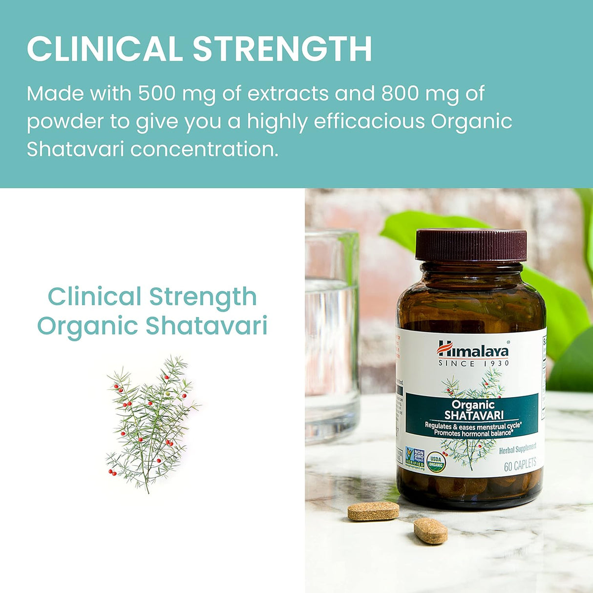 Himalaya Organic Shatavari para PMS alivio de calambres 60 u