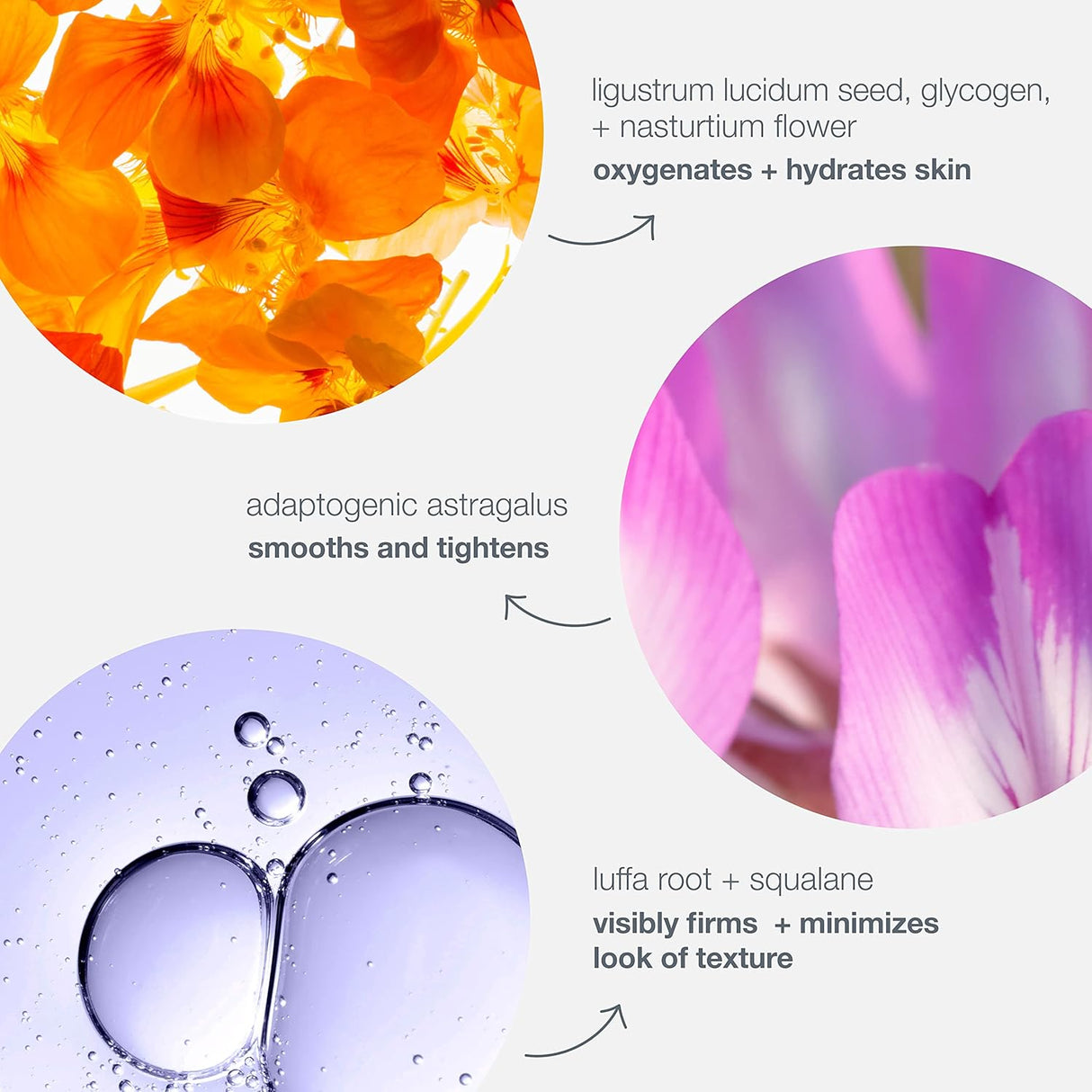 Hidratante líquido diario reafirma para rostro Dermalogica