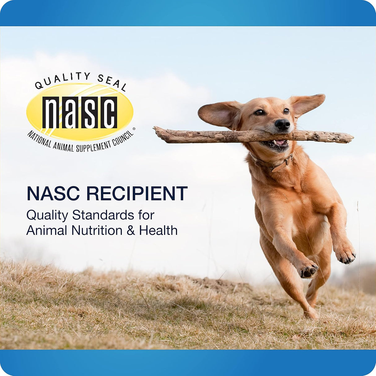 Vitaminas Suplemento 5 en uno para perros apoya la cadera