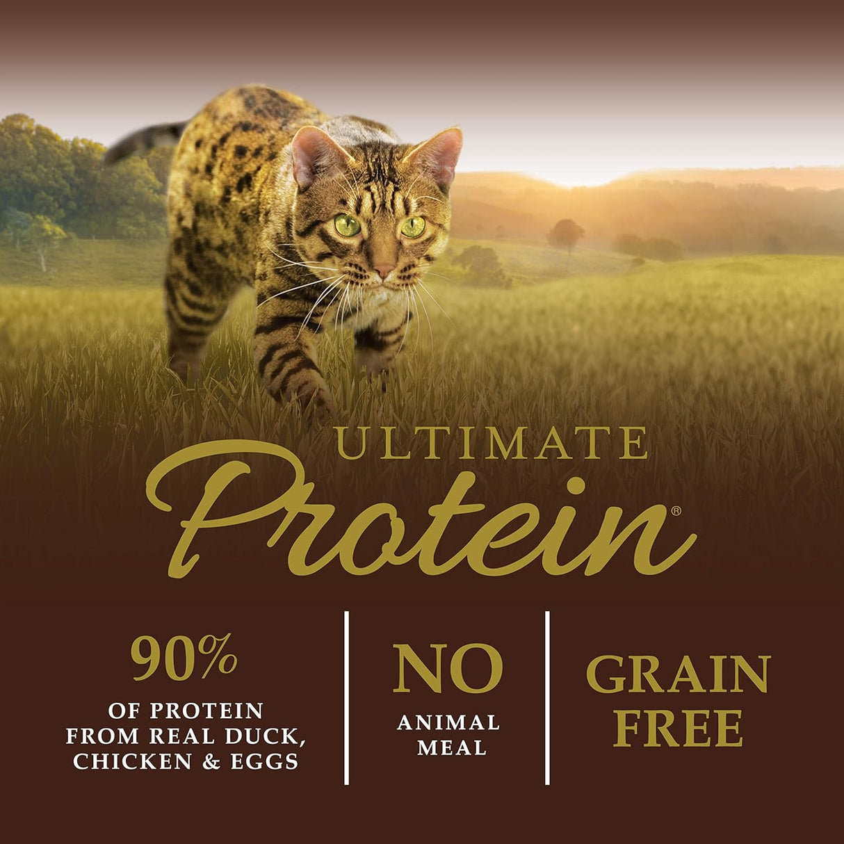 Instinct Ultimate Protein Free Cage Free Duck Recipe Alimento seco natural para gatos, bolsa de 4 libras