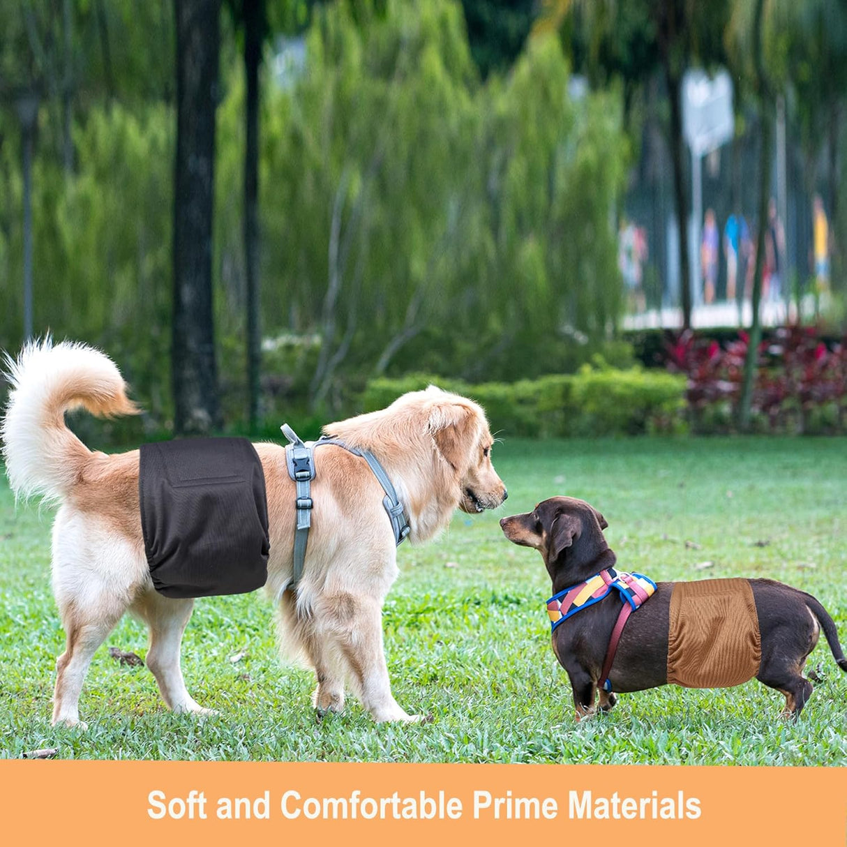 Langsprit Bandas para el vientre Envolturas de alta absorción