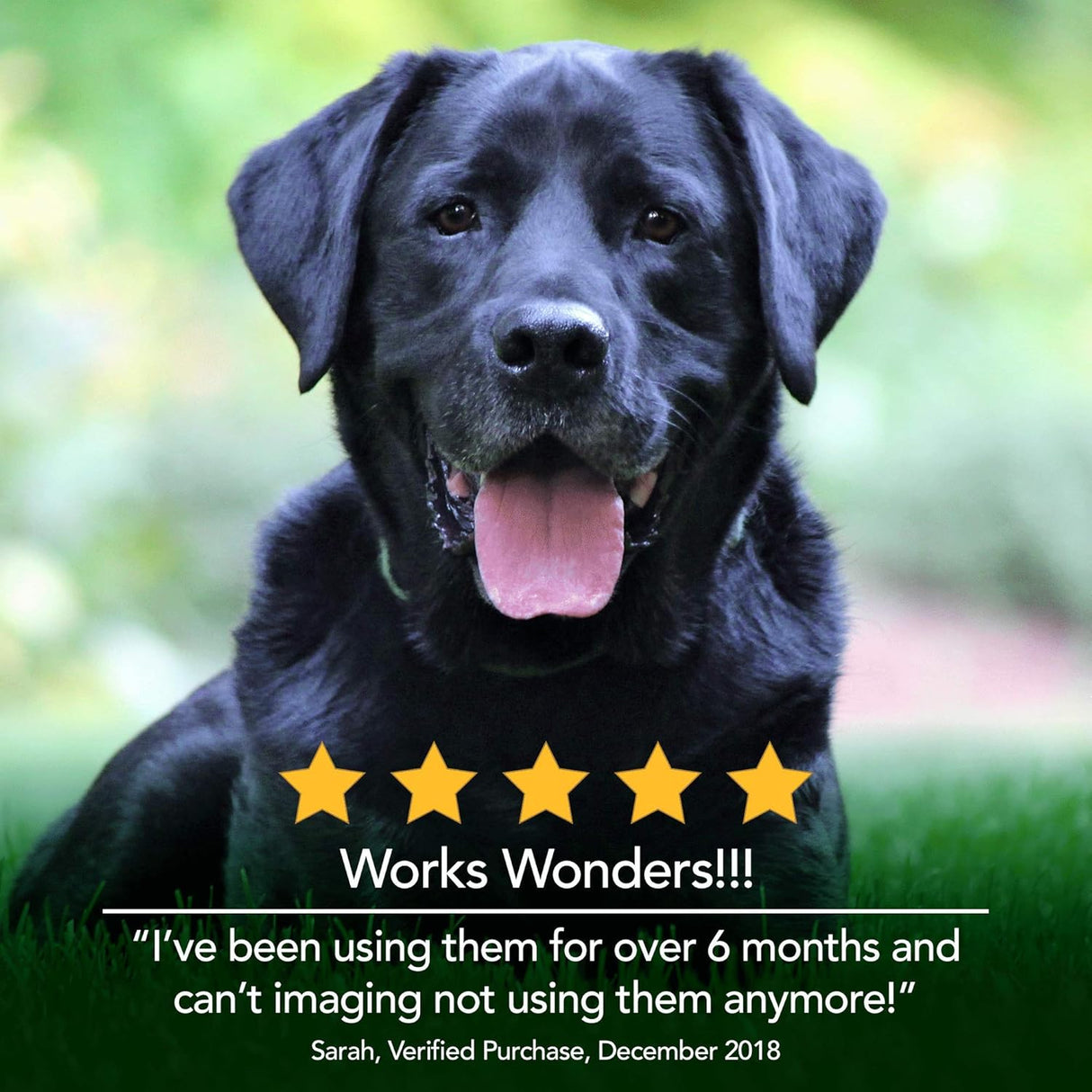 Vitaminas de alergias estacionales Suplemento de alergia