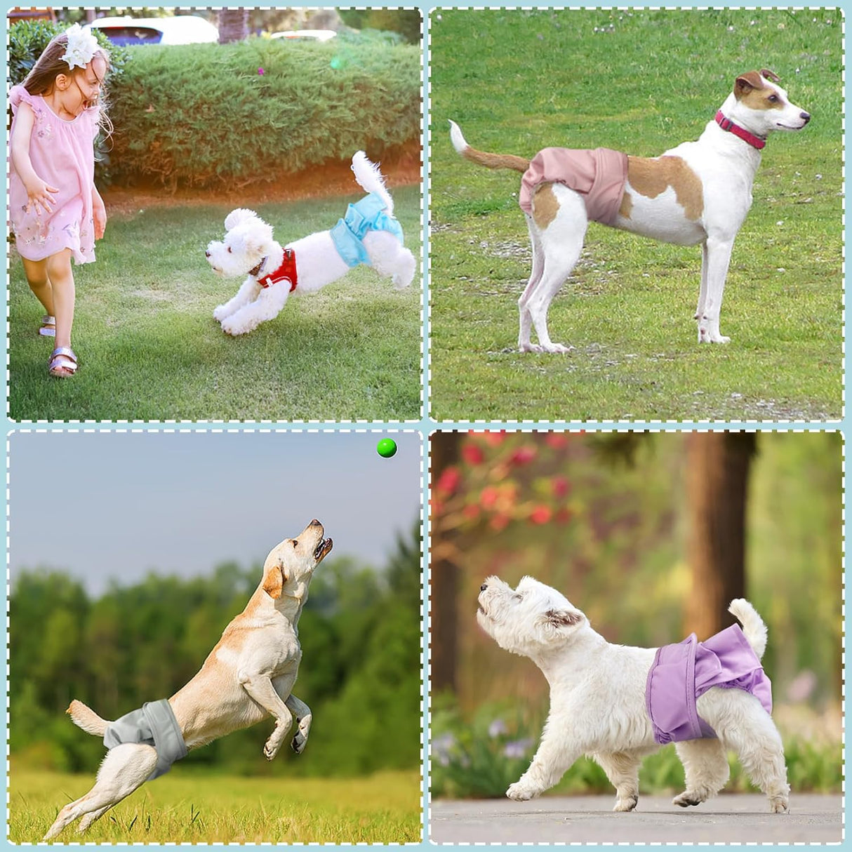 XPCARE Paquete de 6 pañales lavables para perras (S)