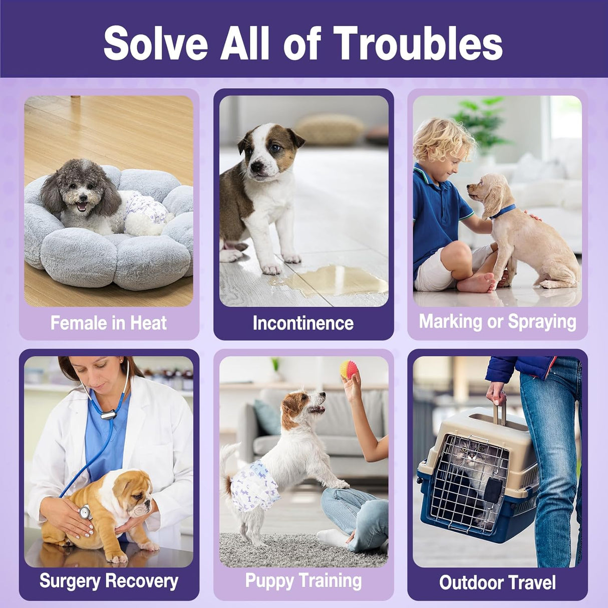 Pet Soft Pañales desechables para perras – 20 pañales