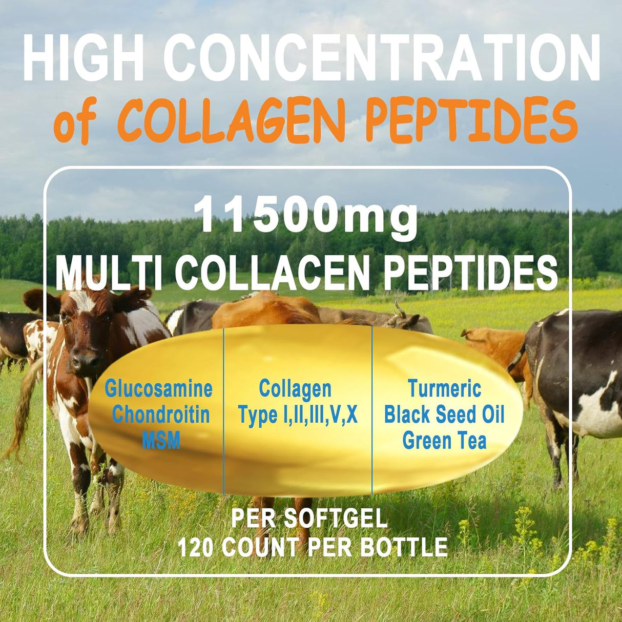 Colágeno Peptidos Suaves, Multi con Glucosamina y MSM, Biotín
