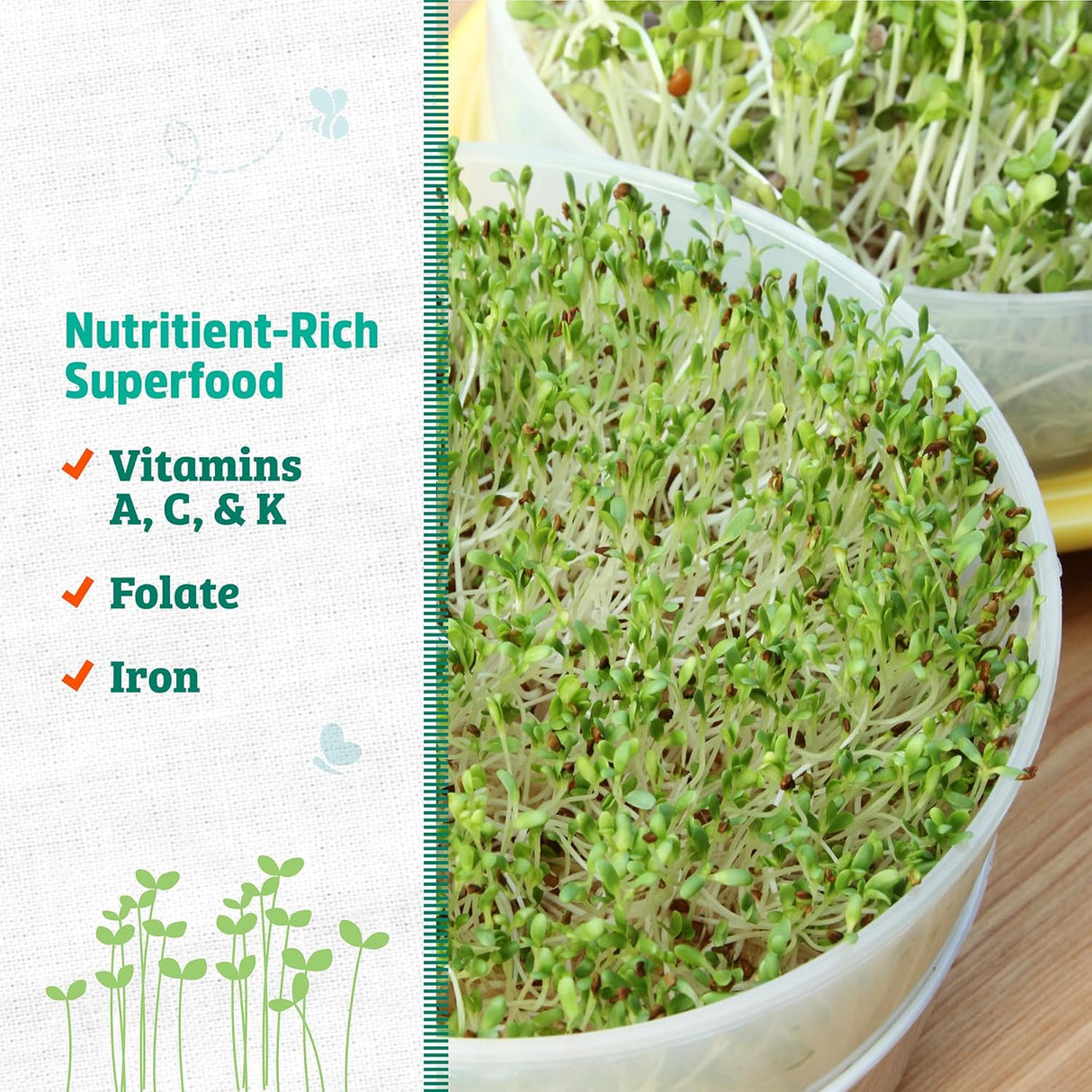 Semillas de Alfalfa 100% Orgánicas Back to the Roots 1 Libra