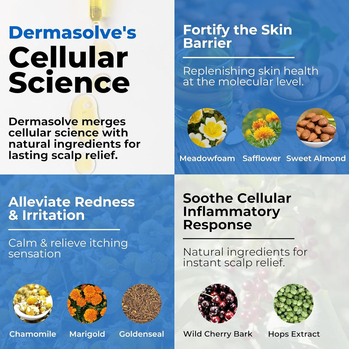 Dermasolve Aceite de cuero cabelludo para psoriasis