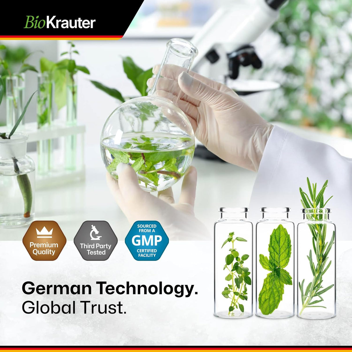 Schisandra Tintura Suplemento orgánico de Schisandra 4 onzas