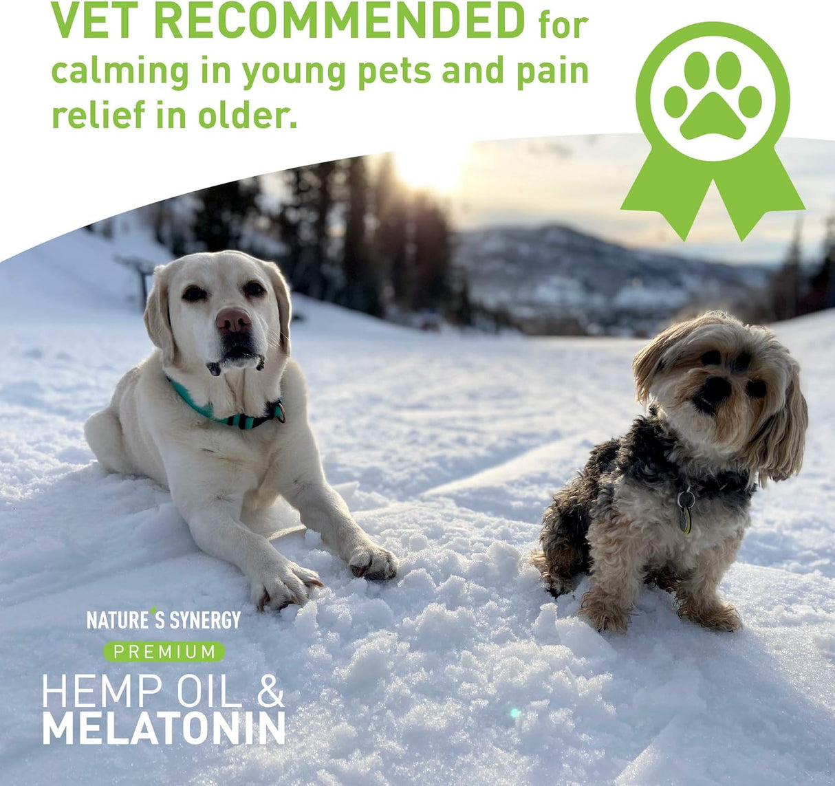 Suplementos de Aceite de cañamo y melatonina para gatos